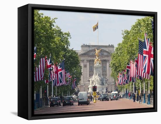 Flags Lining Mall to Buckingham Palace for President Obama's State Visit in 2011, London, England-Walter Rawlings-Framed Premier Image Canvas