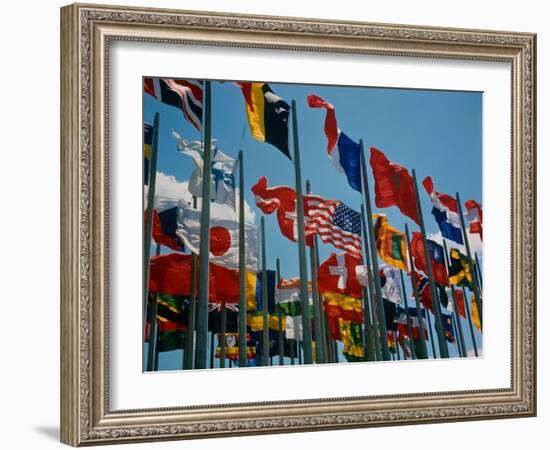 Flags of Different Countries-Philip Gendreau-Framed Photographic Print