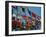 Flags of Different Countries-Philip Gendreau-Framed Photographic Print
