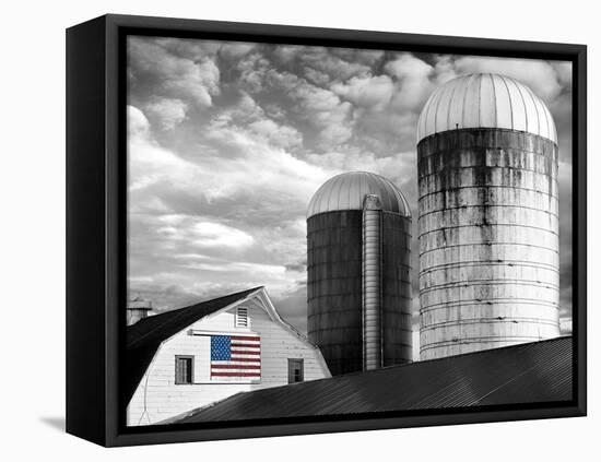 Flags of Our Farmers II-James McLoughlin-Framed Premier Image Canvas