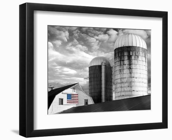 Flags of Our Farmers II-James McLoughlin-Framed Photographic Print