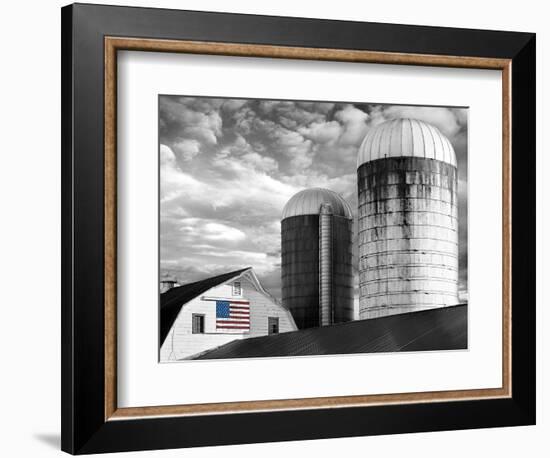 Flags of Our Farmers II-James McLoughlin-Framed Photographic Print