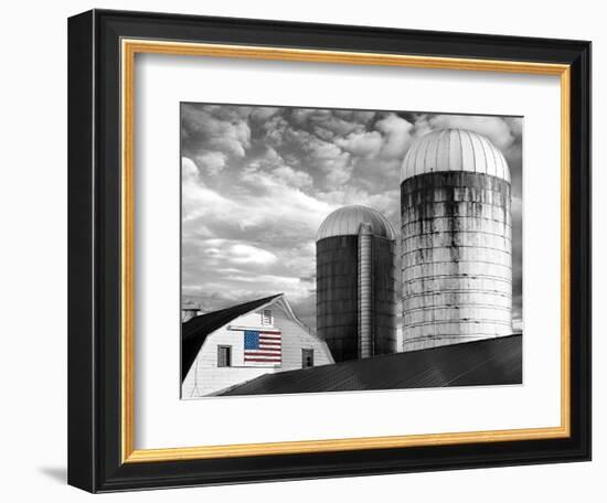 Flags of Our Farmers II-James McLoughlin-Framed Photographic Print