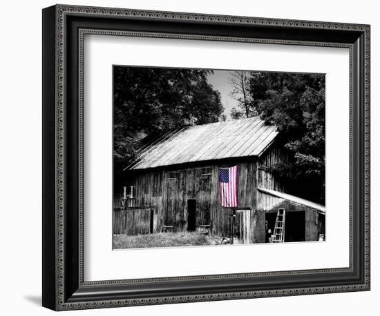 Flags of Our Farmers III-James McLoughlin-Framed Photographic Print