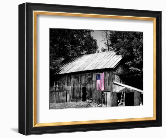 Flags of Our Farmers III-James McLoughlin-Framed Photographic Print