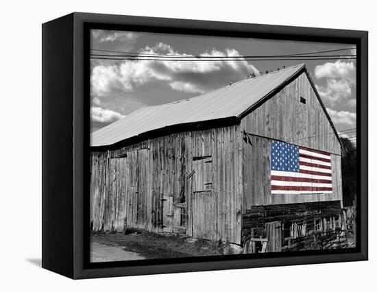 Flags of Our Farmers IV-James McLoughlin-Framed Premier Image Canvas