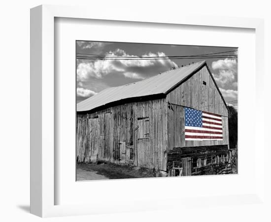 Flags of Our Farmers IV-James McLoughlin-Framed Photographic Print