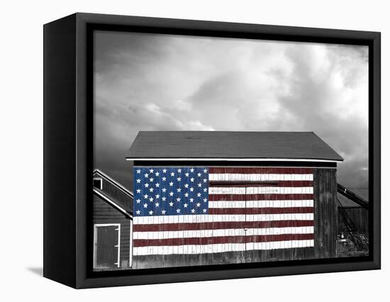 Flags of Our Farmers IX-James McLoughlin-Framed Premier Image Canvas