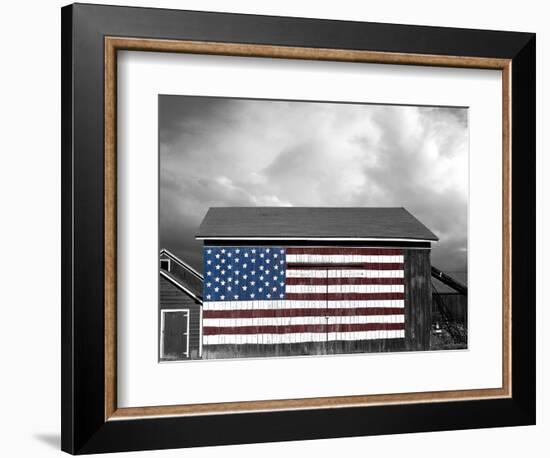 Flags of Our Farmers IX-James McLoughlin-Framed Photographic Print