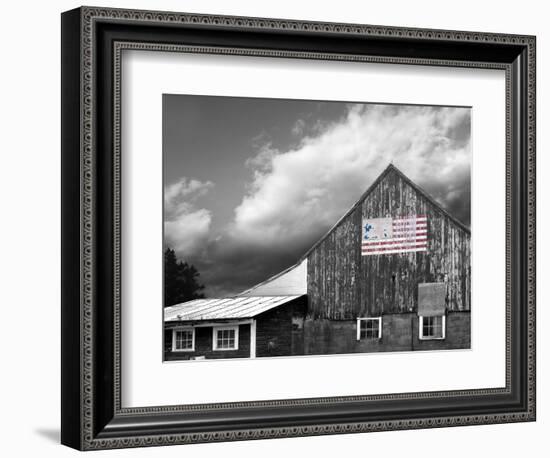 Flags of Our Farmers VII-James McLoughlin-Framed Photographic Print