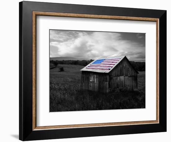 Flags of Our Farmers XII-James McLoughlin-Framed Photographic Print