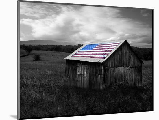 Flags of Our Farmers XII-James McLoughlin-Mounted Photographic Print