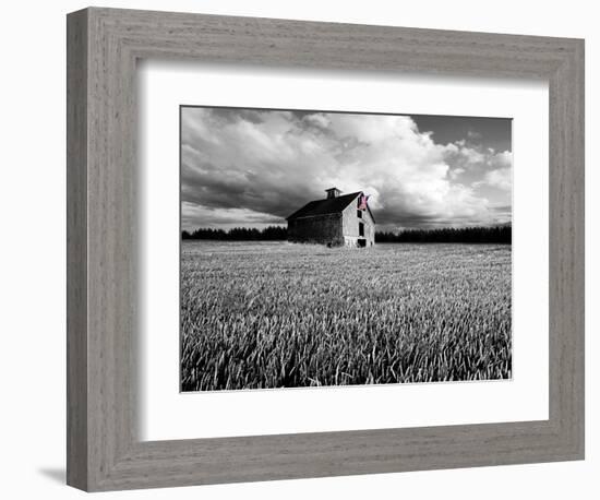 Flags of Our Farmers XIII-James McLoughlin-Framed Photographic Print