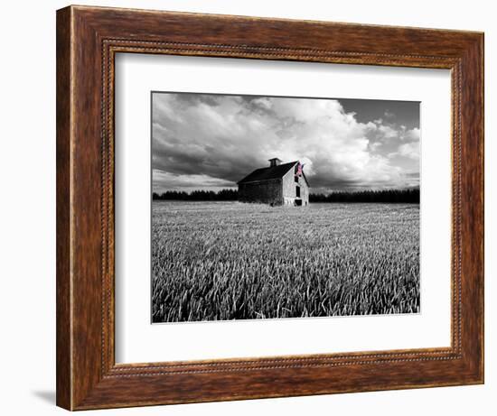 Flags of Our Farmers XIII-James McLoughlin-Framed Photographic Print