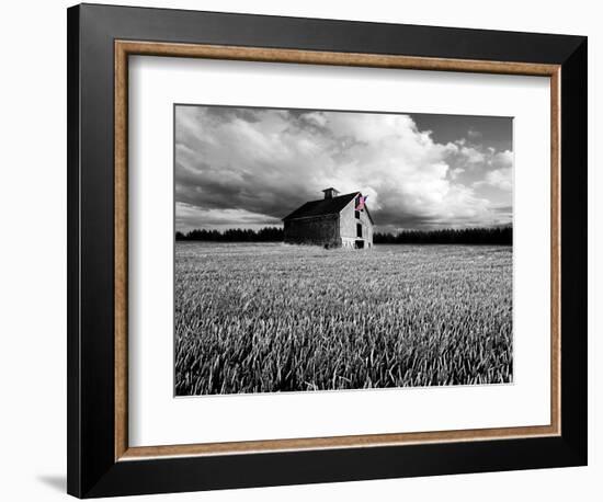 Flags of Our Farmers XIII-James McLoughlin-Framed Photographic Print