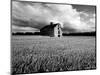 Flags of Our Farmers XIII-James McLoughlin-Mounted Photographic Print