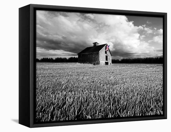 Flags of Our Farmers XIII-James McLoughlin-Framed Premier Image Canvas