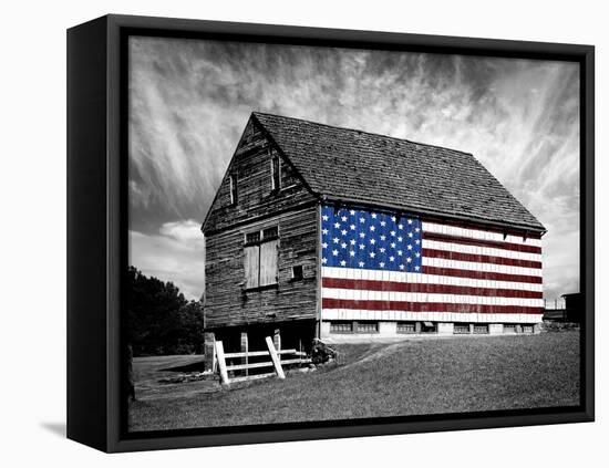 Flags of Our Farmers XIV-James McLoughlin-Framed Premier Image Canvas