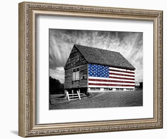 Flags of Our Farmers XIV-James McLoughlin-Framed Photographic Print