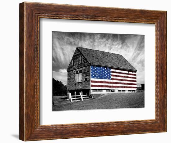 Flags of Our Farmers XIV-James McLoughlin-Framed Photographic Print