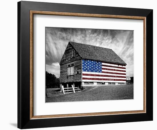 Flags of Our Farmers XIV-James McLoughlin-Framed Photographic Print