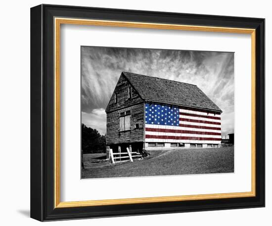 Flags of Our Farmers XIV-James McLoughlin-Framed Photographic Print