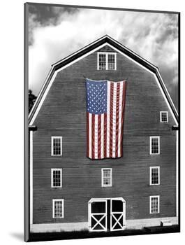 Flags of Our Farmers XIX-James McLoughlin-Mounted Photographic Print