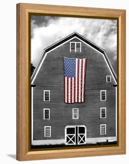 Flags of Our Farmers XIX-James McLoughlin-Framed Premier Image Canvas