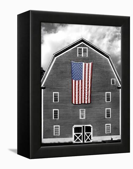 Flags of Our Farmers XIX-James McLoughlin-Framed Premier Image Canvas