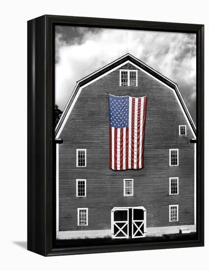 Flags of Our Farmers XIX-James McLoughlin-Framed Premier Image Canvas
