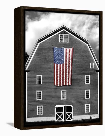 Flags of Our Farmers XIX-James McLoughlin-Framed Premier Image Canvas