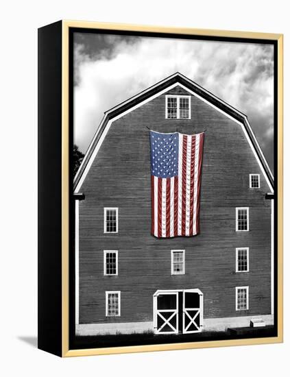 Flags of Our Farmers XIX-James McLoughlin-Framed Premier Image Canvas