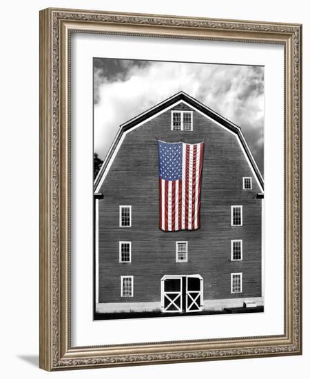 Flags of Our Farmers XIX-James McLoughlin-Framed Photographic Print