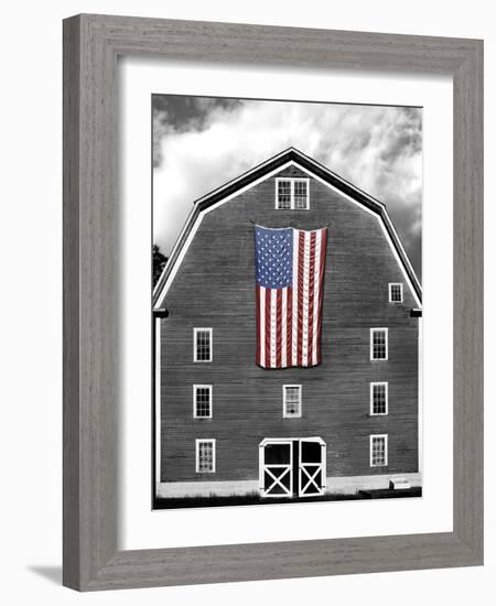 Flags of Our Farmers XIX-James McLoughlin-Framed Photographic Print