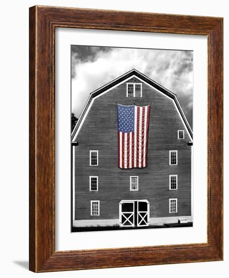 Flags of Our Farmers XIX-James McLoughlin-Framed Photographic Print