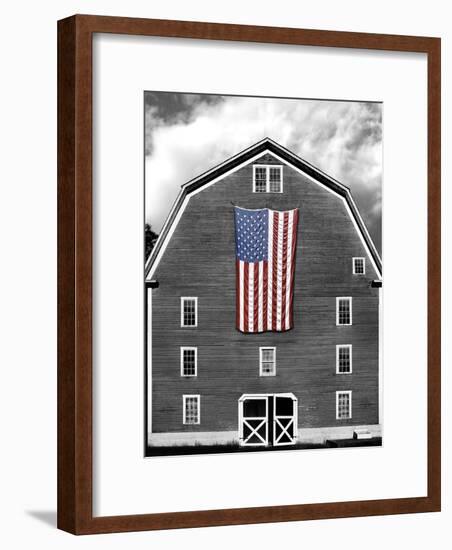 Flags of Our Farmers XIX-James McLoughlin-Framed Photographic Print