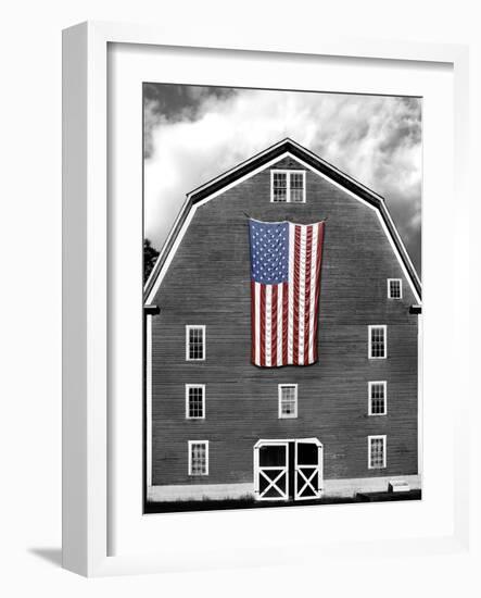 Flags of Our Farmers XIX-James McLoughlin-Framed Photographic Print