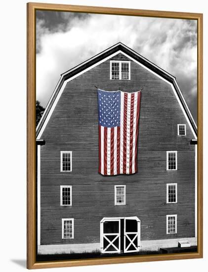 Flags of Our Farmers XIX-James McLoughlin-Framed Premier Image Canvas