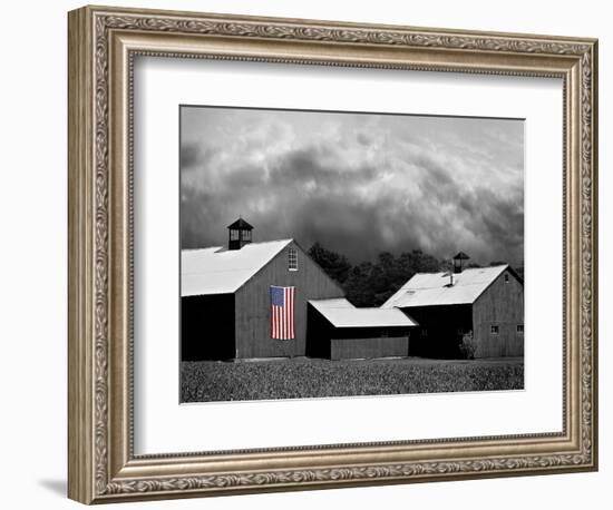 Flags of Our Farmers XV-James McLoughlin-Framed Photographic Print