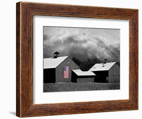 Flags of Our Farmers XV-James McLoughlin-Framed Photographic Print