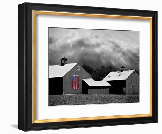 Flags of Our Farmers XV-James McLoughlin-Framed Photographic Print