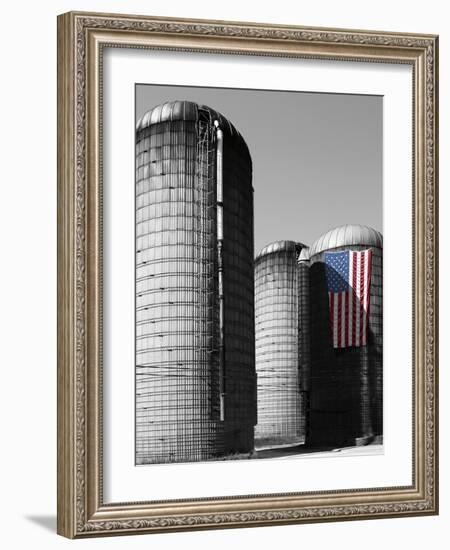 Flags of Our Farmers XX-James McLoughlin-Framed Photographic Print