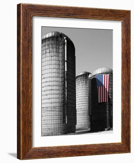 Flags of Our Farmers XX-James McLoughlin-Framed Photographic Print