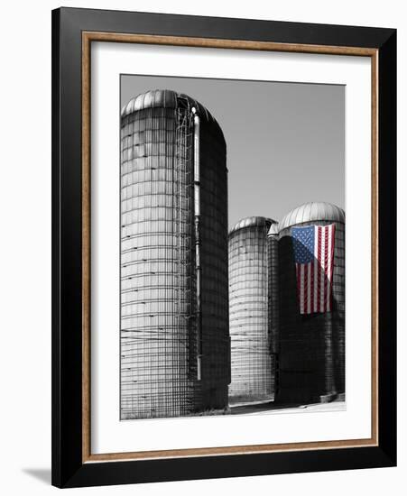 Flags of Our Farmers XX-James McLoughlin-Framed Photographic Print