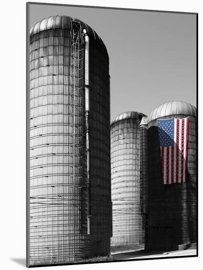 Flags of Our Farmers XX-James McLoughlin-Mounted Photographic Print