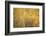 Flakes of Gold-Doug Chinnery-Framed Photographic Print