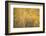 Flakes of Gold-Doug Chinnery-Framed Photographic Print