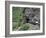 Flam Railway, Flam, Sogn Og Fjordane, Norway, Scandinavia, Europe-Hans Peter Merten-Framed Photographic Print