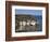 Flamborough Head, East Yorkshire, Yorkshire, England, United Kingdom-David Hunter-Framed Photographic Print