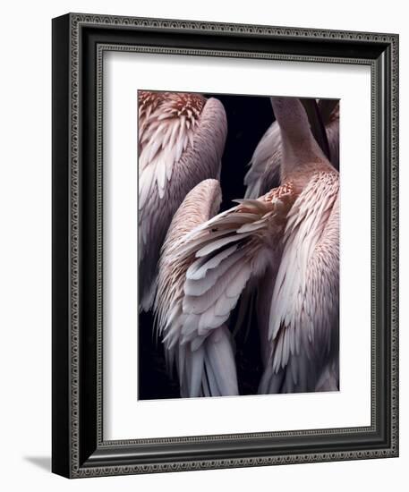 Flamboyance 1-Design Fabrikken-Framed Photographic Print